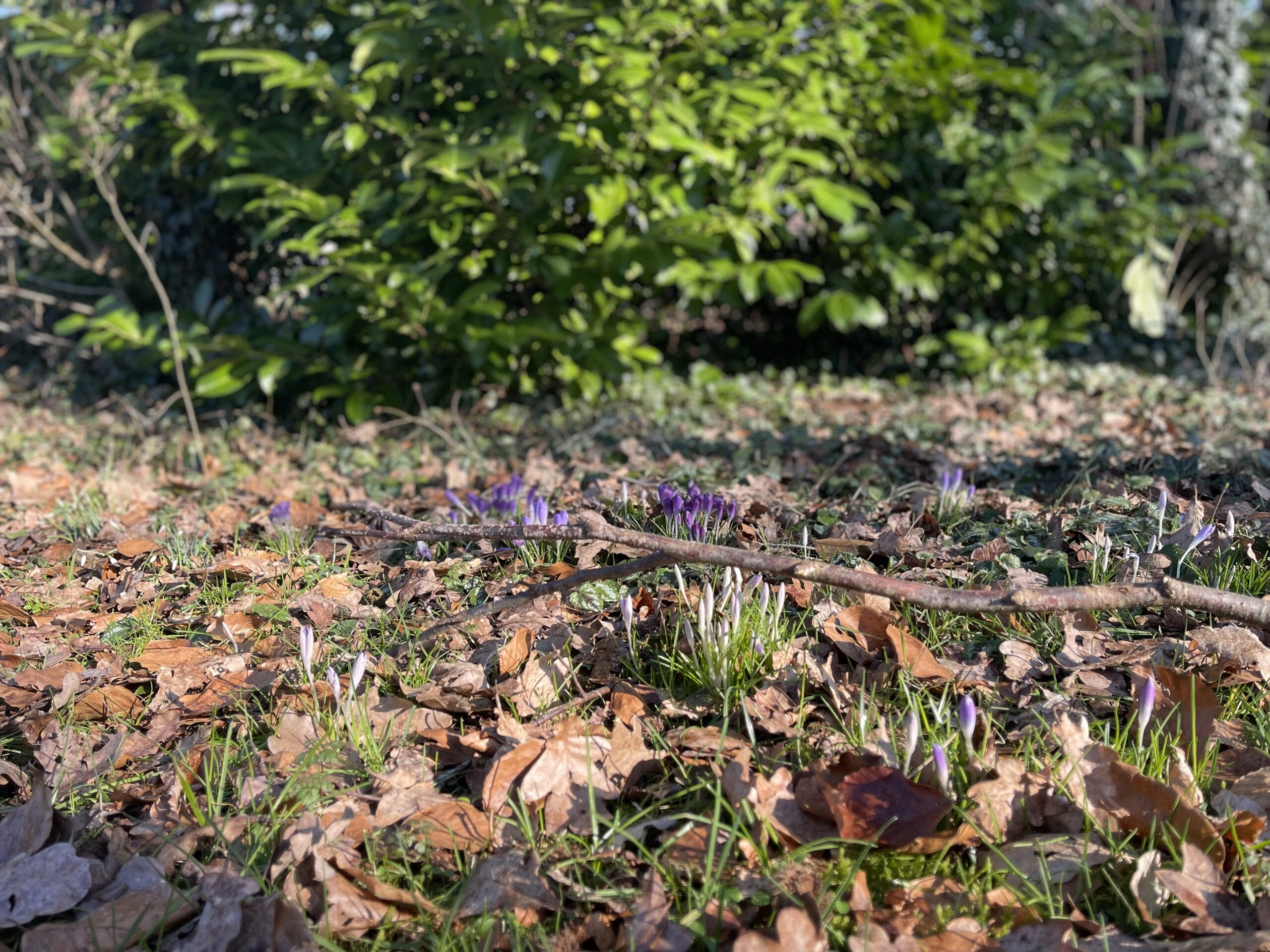 Nieuwe kansen in sociale huisvesting: mogelijkheden om samen te bouwen