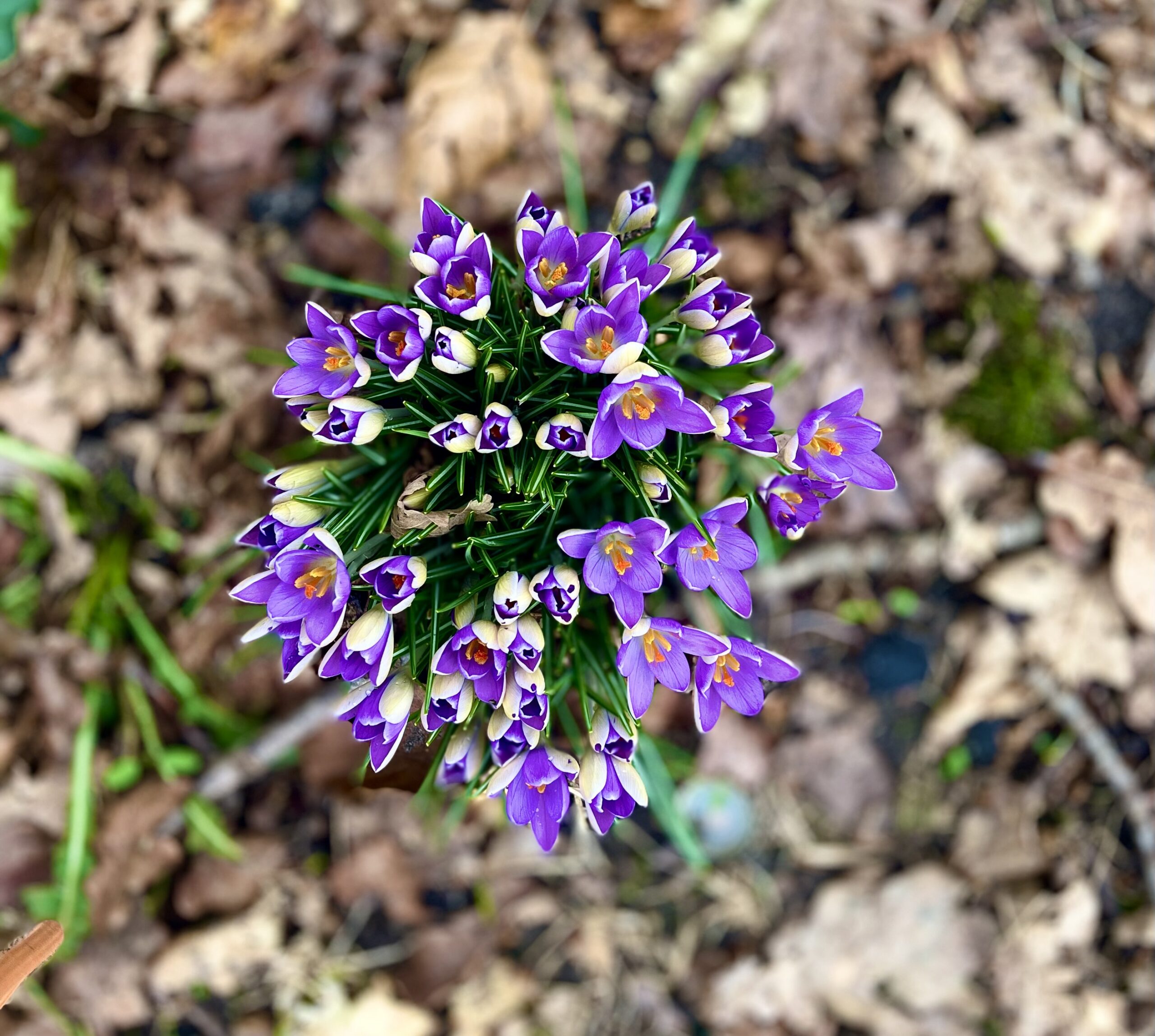 Samenleven in Onzekere tijden
